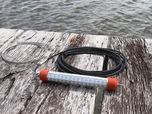 Green LED Fishing Stick Light