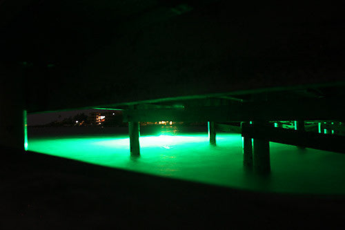 Green LED Fishing Stick Light