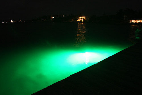 Green LED Fishing Stick Light