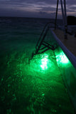 Green LED Fishing Stick Light
