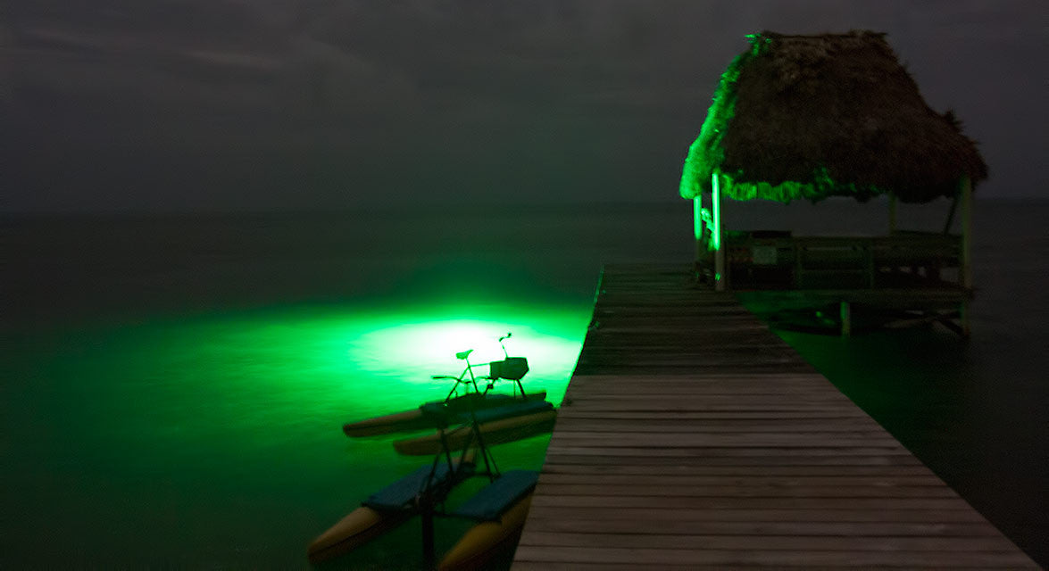Predator Fishing Lights  Green and White Waterproof LED Lights